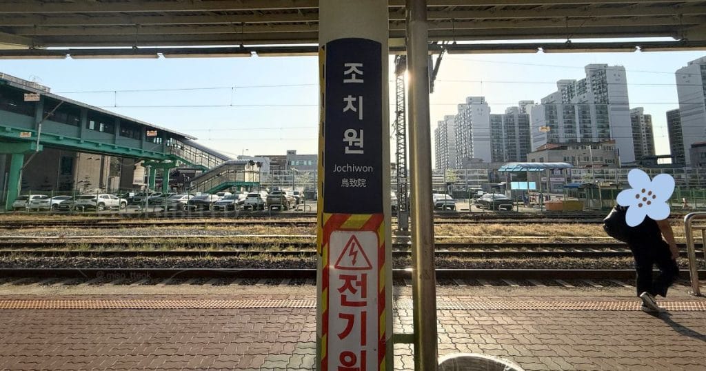 韓国・鳥致院駅 조치원(ジョチウォン駅/チョチウォン駅)のホーム
出典：清州とことこナナル（みそもち）