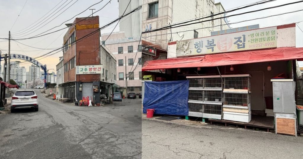 韓国清州、ユッコリ総合市場の裏側のゲートと鶏肉卸業者のお店