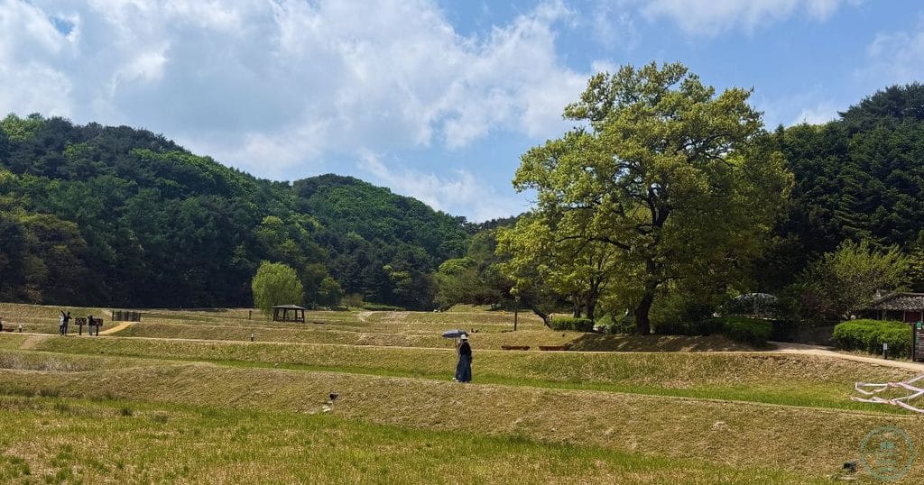 韓国・清州市にある昔の山城の城壁「サンダンサンソン:상당산성」の遊歩道2
