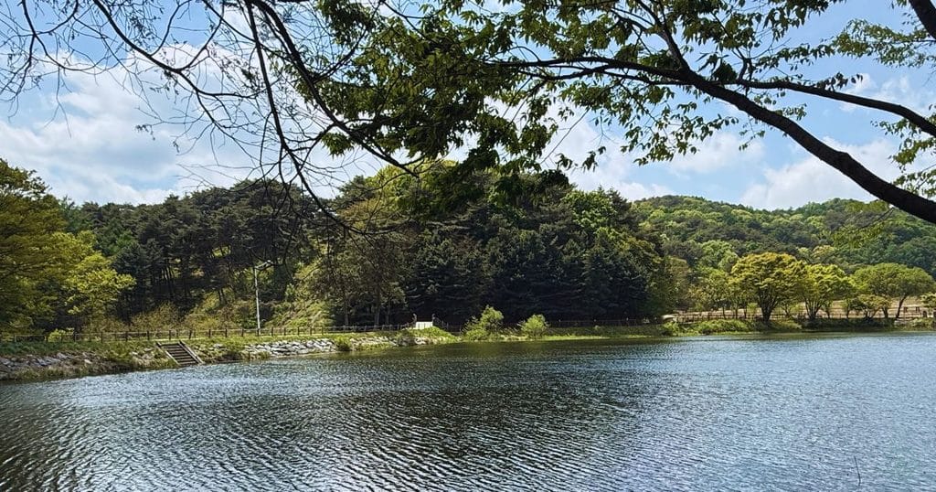 韓国・清州市にある昔の山城の城壁「サンダンサンソン:상당산성」の上側の貯水池