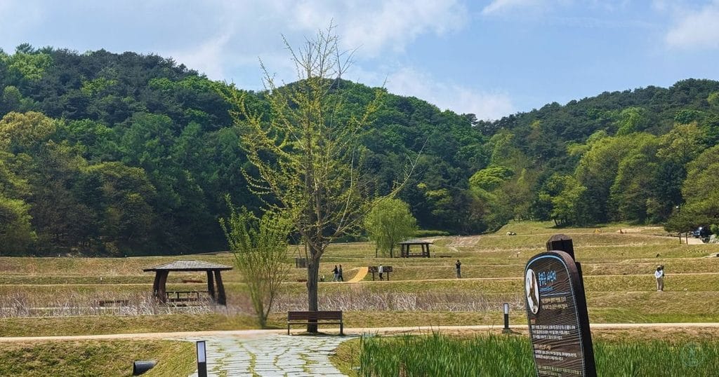 韓国・清州市にある昔の山城の城壁「サンダンサンソン:상당산성」の自然の庭の遊歩道1